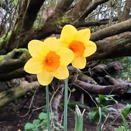 Kleine Lea2 Gemeinschaftsbad Kein Wifi בית אירוח Richelsdorf